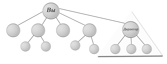 организация МЛМ