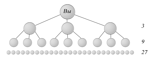 по сетевому маркетингу компьютерный учет для компаний сетевого маркетинга МЛМ MLM